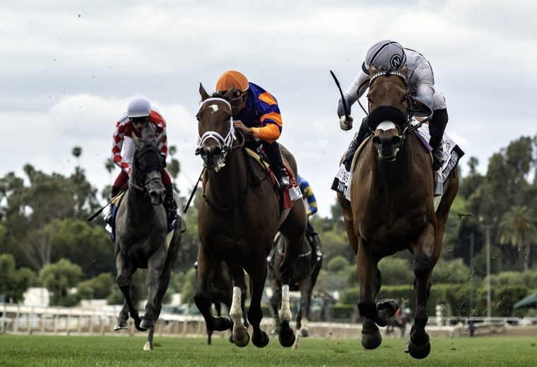 Jungle Peace - Senorita Stakes G3 - Benoit Photo