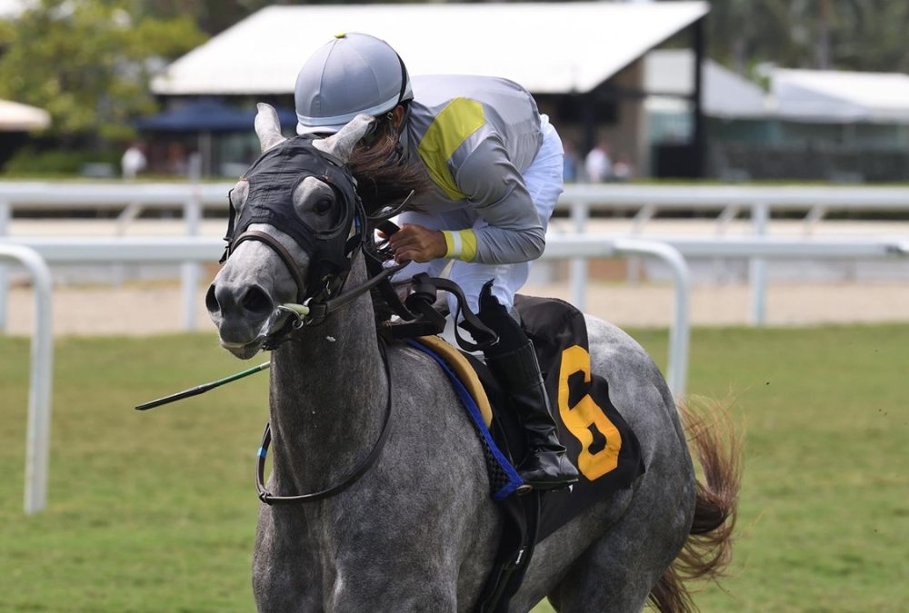 Lennilu - Royal Palm Juvenile Fillies - Ryan Thompson/Coglianese Photo