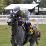 Lennilu - Royal Palm Juvenile Fillies - Ryan Thompson/Coglianese Photo