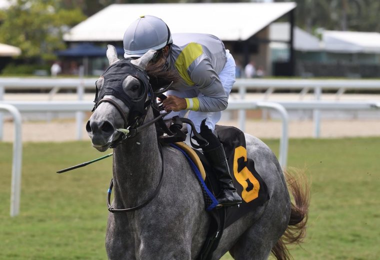 Lennilu - Royal Palm Juvenile Fillies - Ryan Thompson/Coglianese Photo