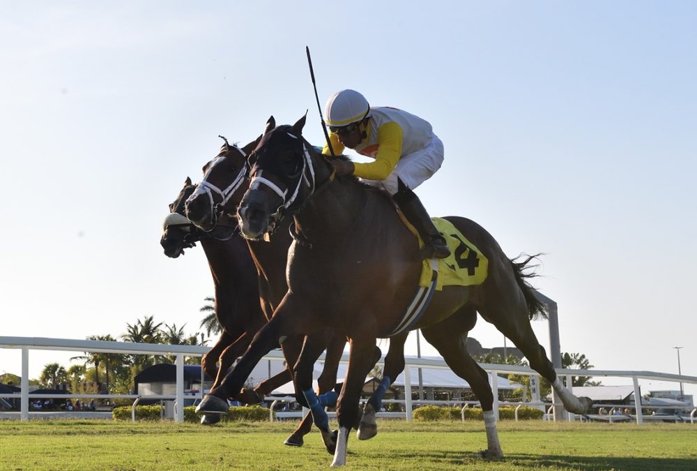 Lorenz - Ryan Thompson - Coglianese Photo