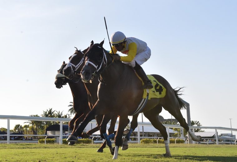 Lorenz - Ryan Thompson - Coglianese Photo