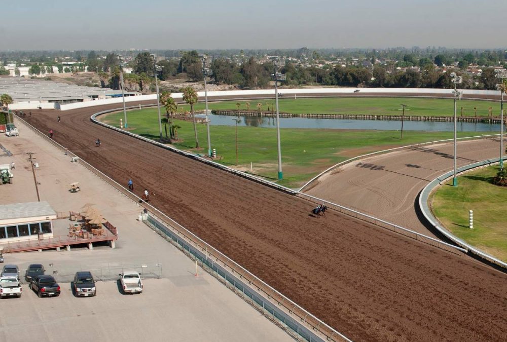 Los Alamitos Stretch - Los Alamitos Media