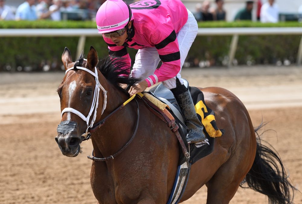 Luvumorgan the Game Face credit Ryan Thompson / Coglianese Photo