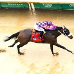 Macho Music - Pat Day Mile G2 - Coady Media