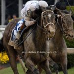 Margie´s Intention - Black-Eyed Susan G3 - Barbara D. Livingston - Daily Racing Form