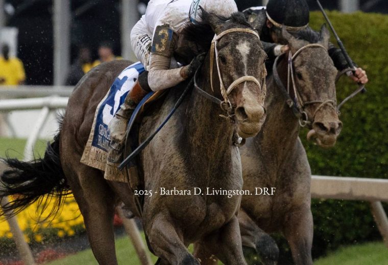 Margie´s Intention - Black-Eyed Susan G3 - Barbara D. Livingston - Daily Racing Form