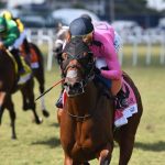 Mi Bago - Ryan Thompson - Coglianese Photo