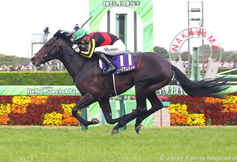 Museum Mile (JPN) - Foto credito Japan Racing Association