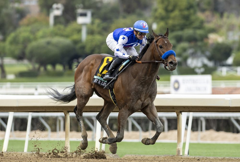Nysos - Robert B. Lewis Stakes G3 - Benoit Photo