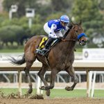 Nysos - Robert B. Lewis Stakes G3 - Benoit Photo