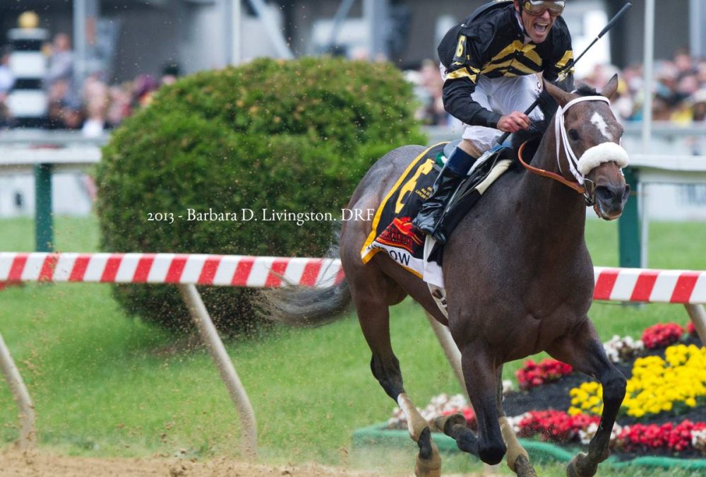 Oxbow - Owner Calumet Farm - Barbara D. Livingston - Daily Racing Form
