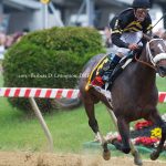 Oxbow - Owner Calumet Farm - Barbara D. Livingston - Daily Racing Form