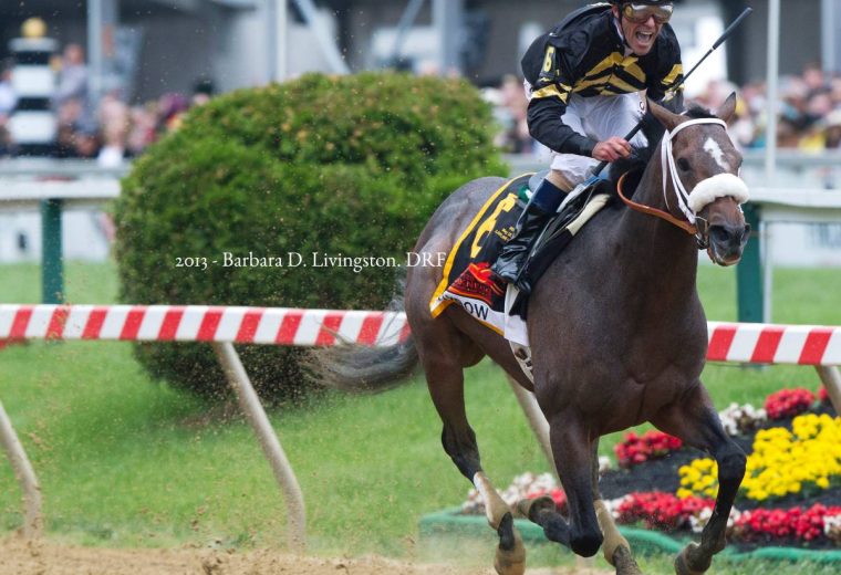 Oxbow - Owner Calumet Farm - Barbara D. Livingston - Daily Racing Form