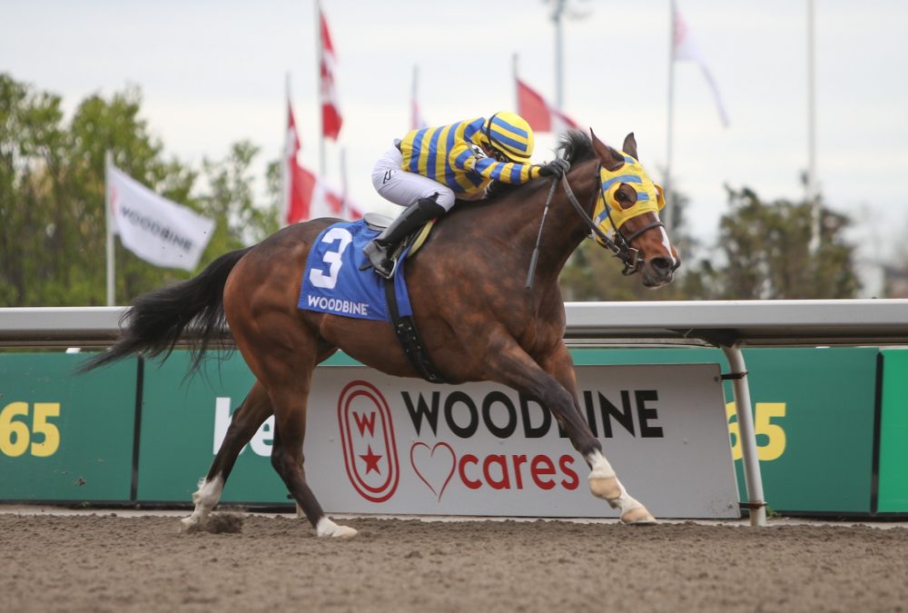 Patches O'Houlihan - Michael Burns - Woodbine