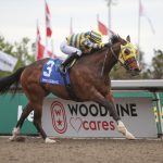 Patches O'Houlihan - Michael Burns - Woodbine