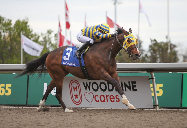Patches O'Houlihan - Michael Burns - Woodbine