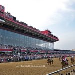 Preakness 2019 - Barbara D. Livingston - Daily Racing Form