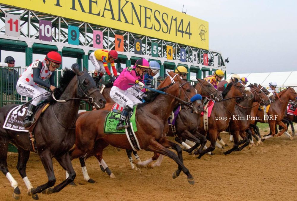 Preakness Stakes Start - Kim Pratt - Daily Racing Form