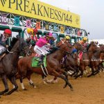 Preakness Stakes Start - Kim Pratt - Daily Racing Form