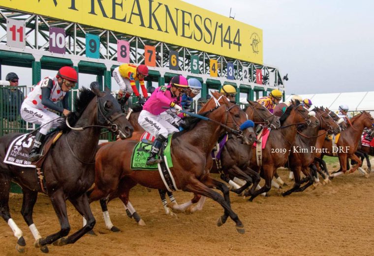 Preakness Stakes Start - Kim Pratt - Daily Racing Form