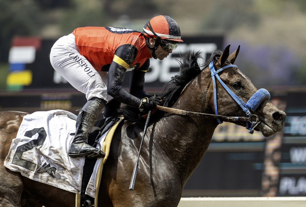 Private Gem - Thor's Echo Stakes - Benoit Photo