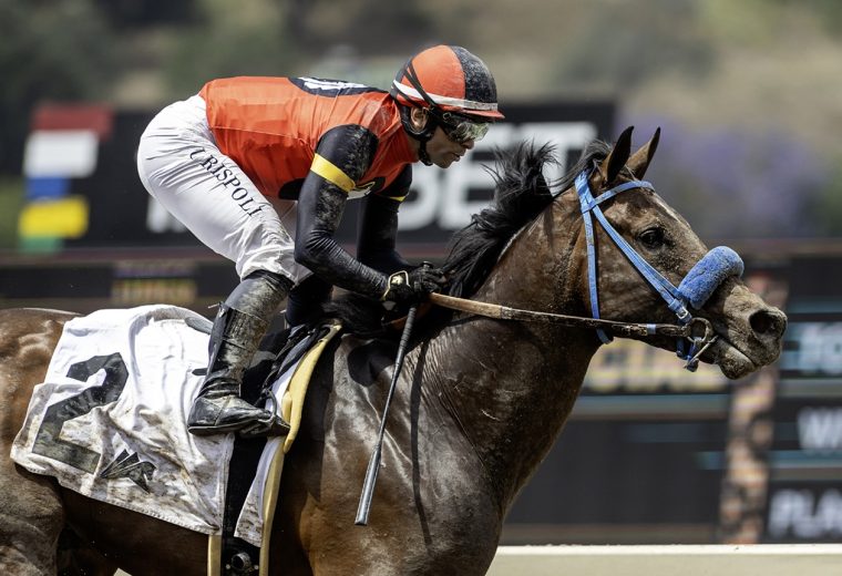Private Gem - Thor's Echo Stakes - Benoit Photo