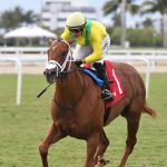 Sandal's Song - Royal Palm Juvenile Stakes - Ryan Thompson/Coglianese Photo