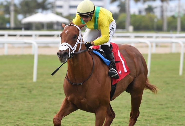 Sandal's Song - Royal Palm Juvenile Stakes - Ryan Thompson/Coglianese Photo