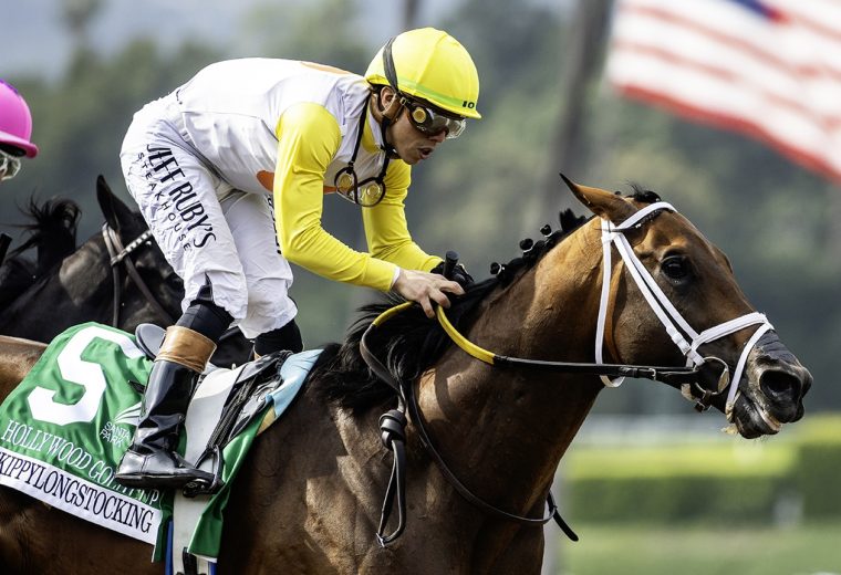 Skippylongstocking - Hollywood Gold Cup G2 - Benoit Photo