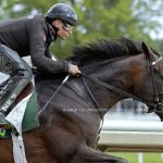Sovereignty - Barbara D. Livingston / Daily Racing Form