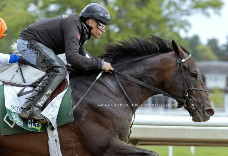 Sovereignty - Barbara D. Livingston / Daily Racing Form