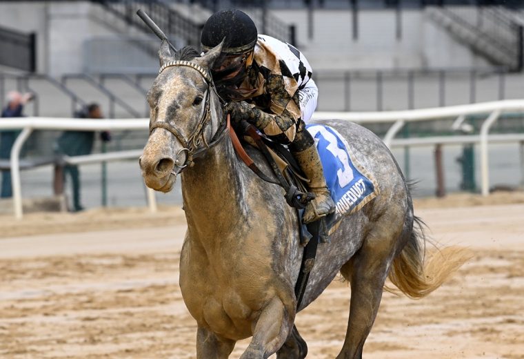 Sterling Silver - Coglianese Photo
