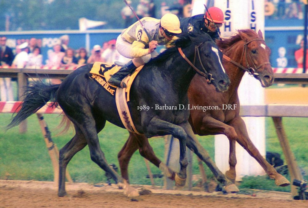 Sunday Silence - 1989 Preakness - Barbara D. Livingston - Daily Racing Form