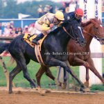 Sunday Silence - 1989 Preakness - Barbara D. Livingston - Daily Racing Form