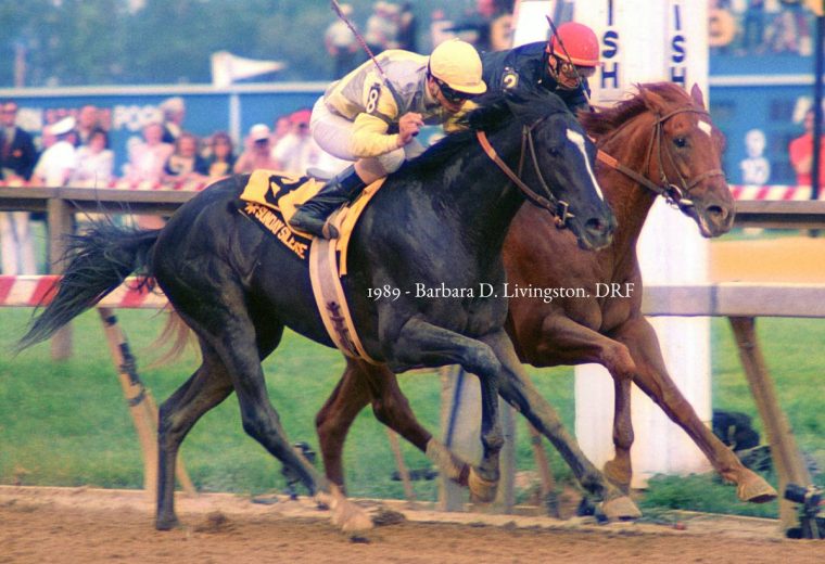 Sunday Silence - 1989 Preakness - Barbara D. Livingston - Daily Racing Form