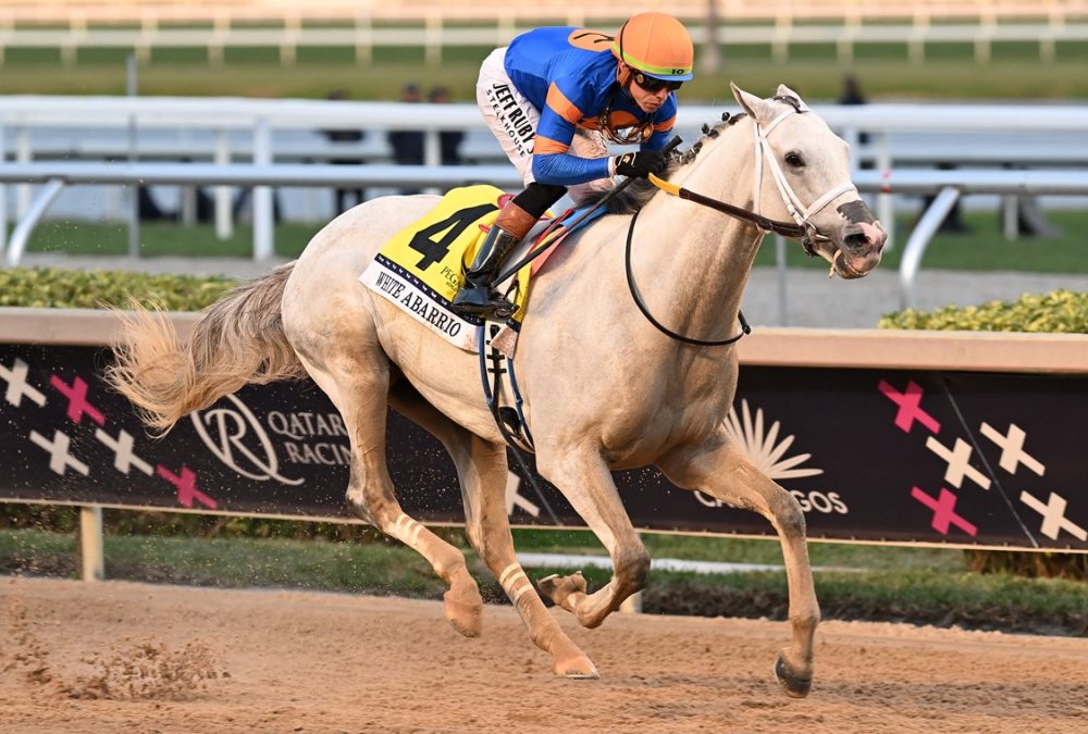 White Abarrio - Coglianese Photo