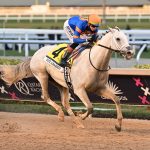 White Abarrio - Coglianese Photo