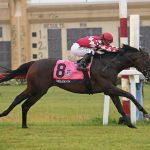 Dream On - Grade 3 Penn Mile at Penn National - Photo By Bill Denver/EQUI-PHOTO