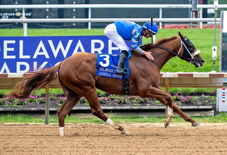 Admiral Dennis - Delaware Derby - Hoofprints Inc