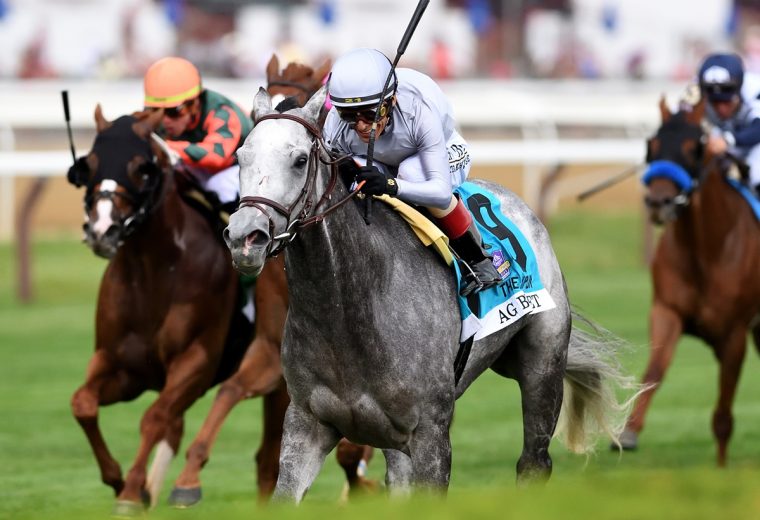 Ag Bullet the Jaipur G1 - credit Dom Napolitano / Coglianese Photo