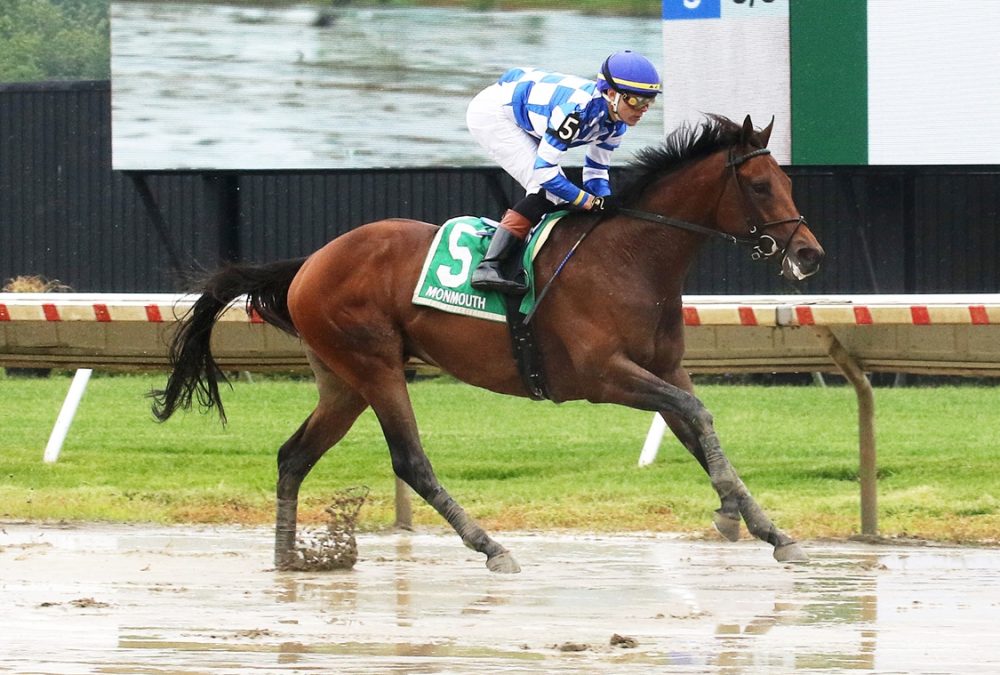 Bracket Buster - Pegasus Stakes - Bill Denver/EQUI-PHOTO