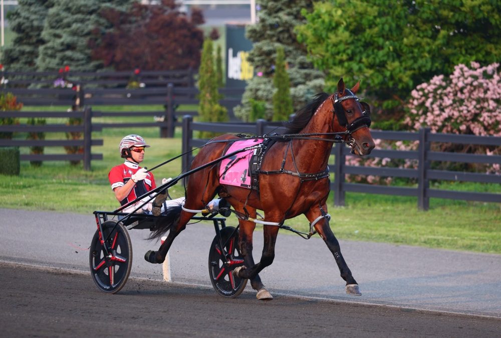 Captain Optimistic - foto crédito Mohawk Park