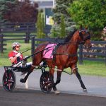 Captain Optimistic - foto crédito Mohawk Park