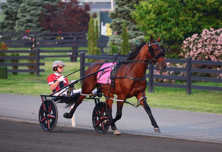 Captain Optimistic - foto crédito Mohawk Park