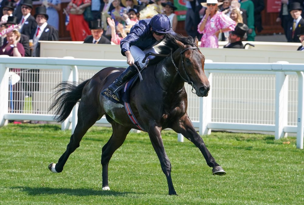 Charles Darwin wins the Norfolk Stakes (credit: Megan Coggin-Ascot Media)