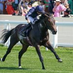 Charles Darwin wins the Norfolk Stakes (credit: Megan Coggin-Ascot Media)