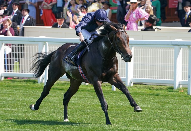 Charles Darwin wins the Norfolk Stakes (credit: Megan Coggin-Ascot Media)