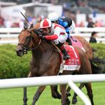 Dynamic Pricing - Just a Game Stakes G1T - Chelsea Durand - Coglianese Photo