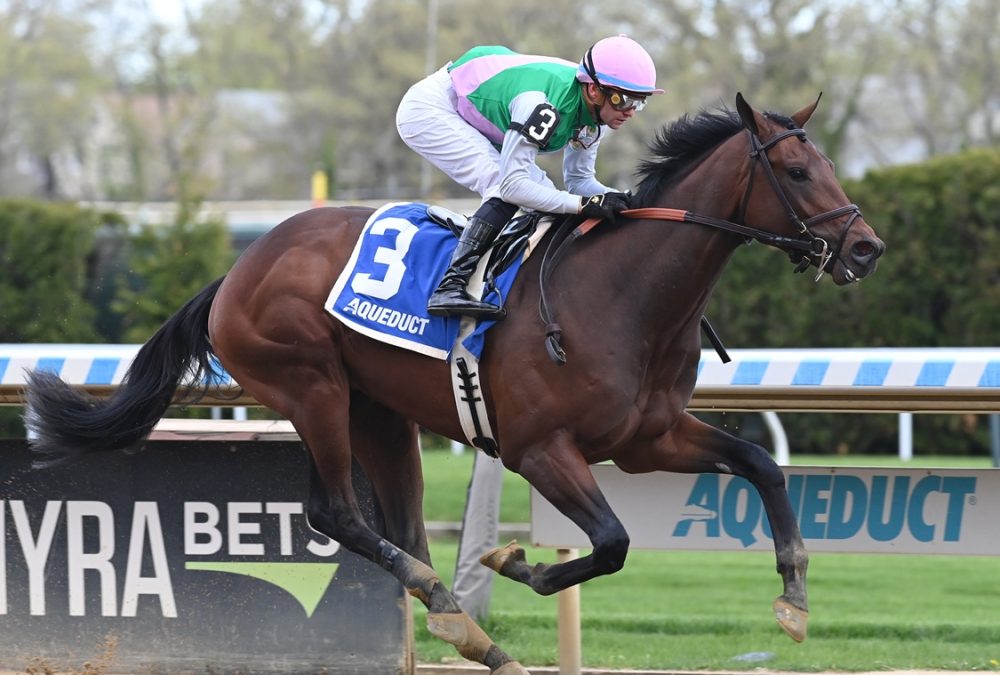 Garamond - Coglianese Photo